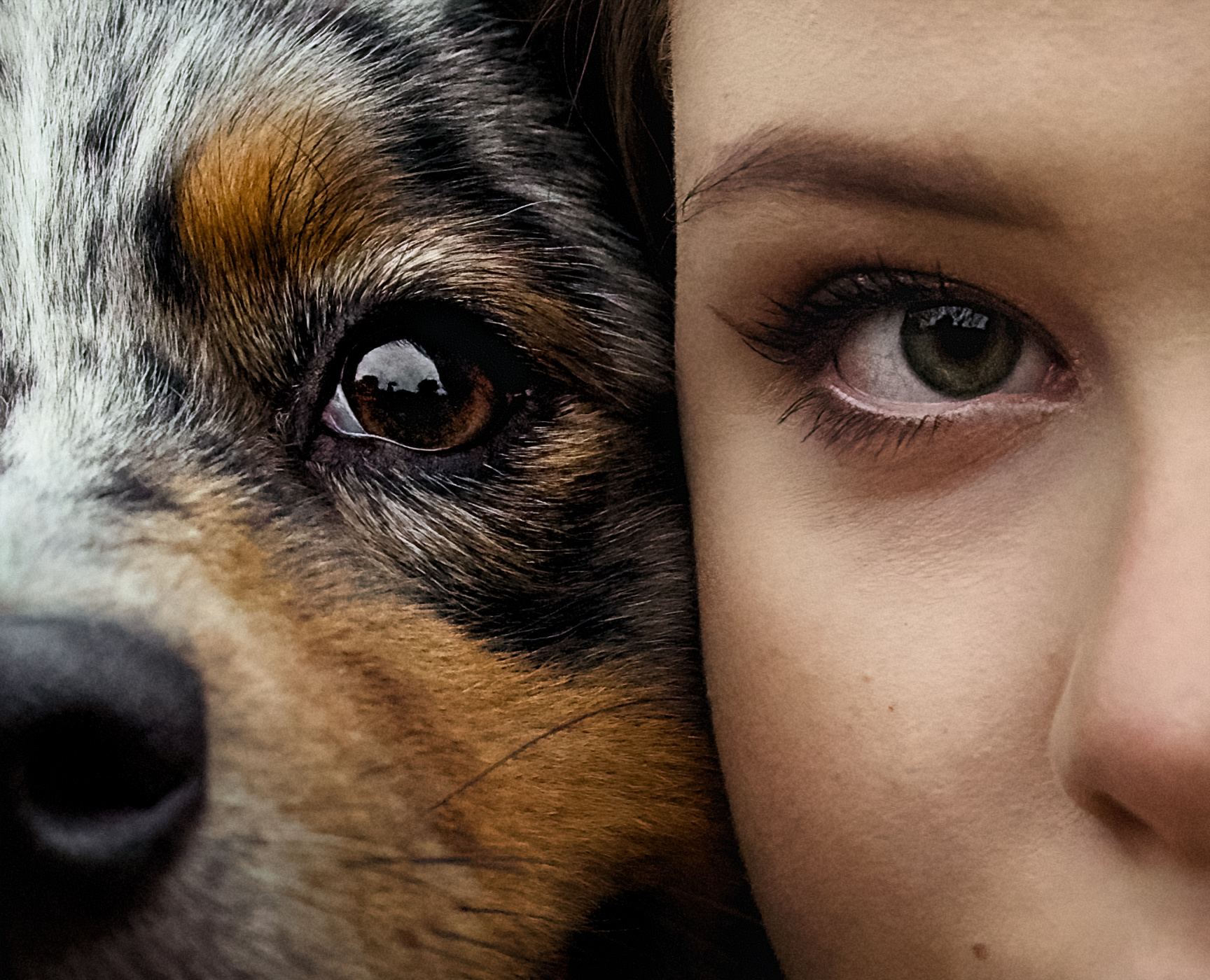 nietypowy portret ze zbliżeniem oczu właścicielki i jej owczarka australijskiego blue merle, dopełnienie