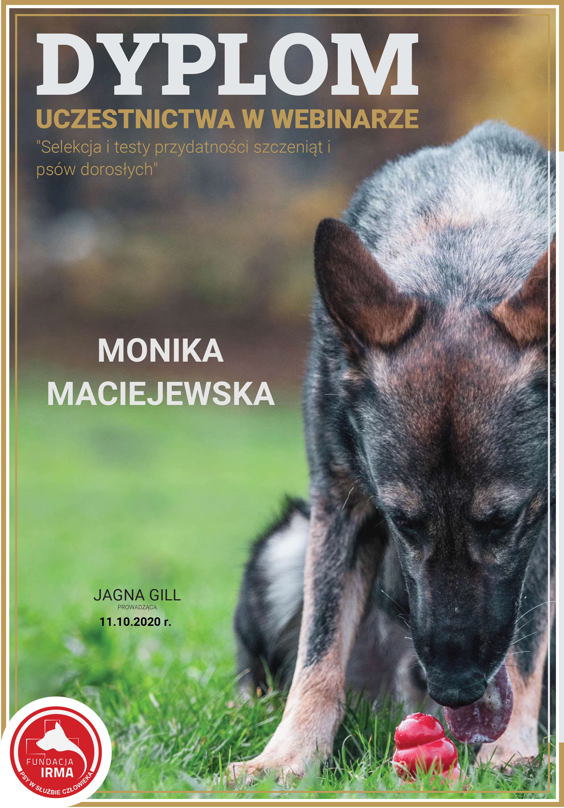 dyplom podstawy nosework