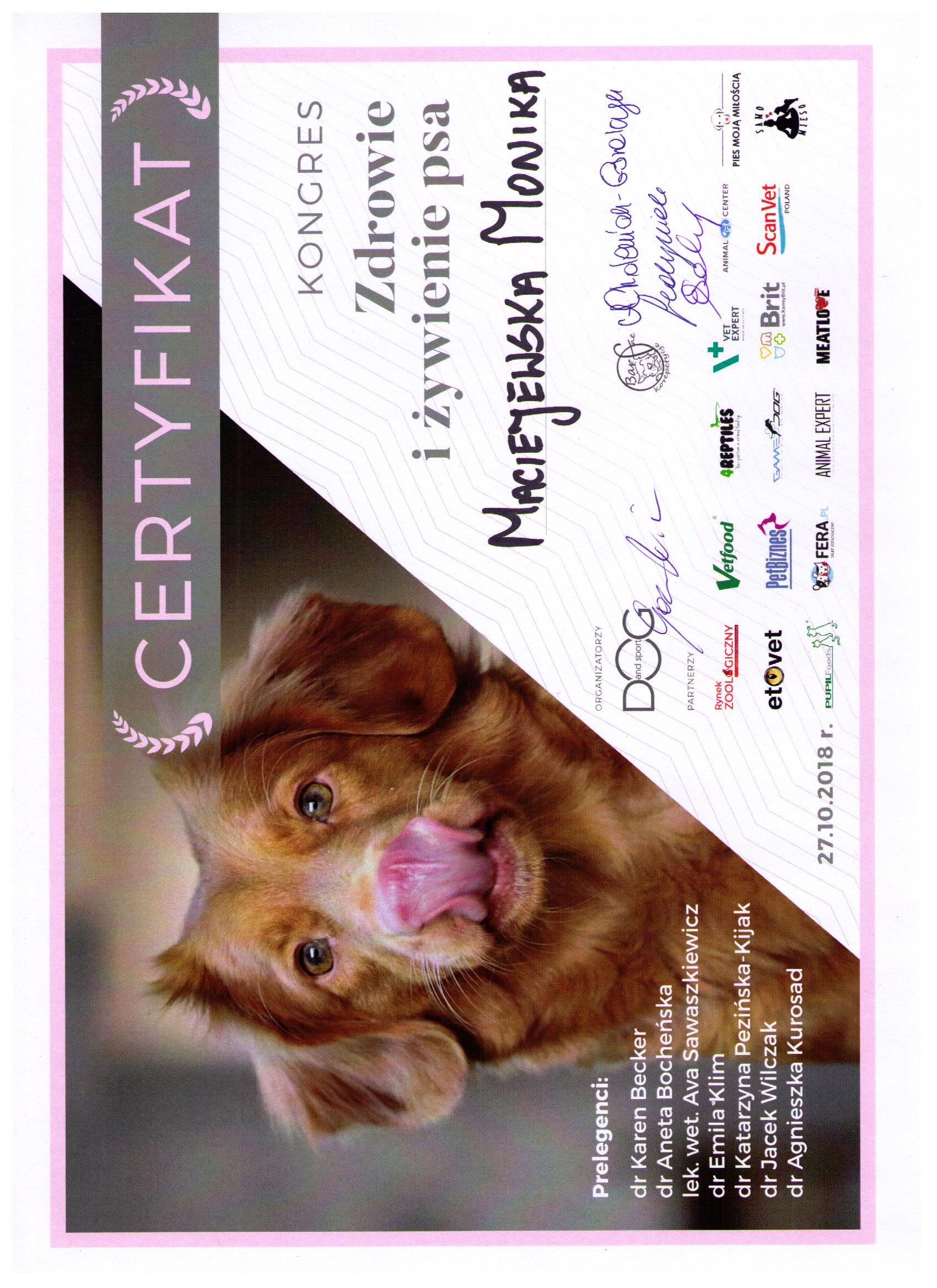 certyfikat zdrowie i żywienie psów