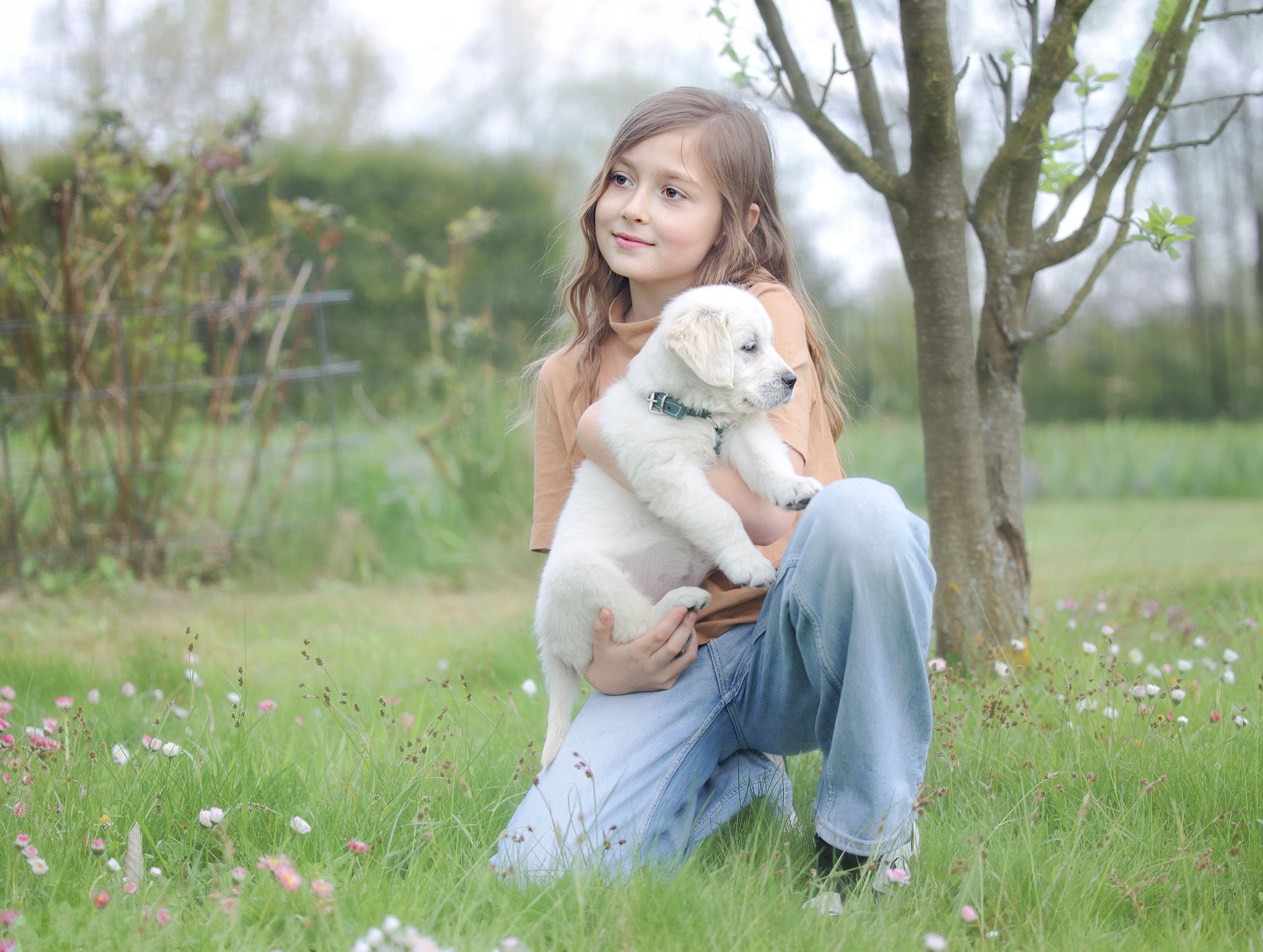 mała śliczna dziewczynka trzymająca szczeniaka golden retrievera w sadzie w spokojnych, pastelowych kolorach