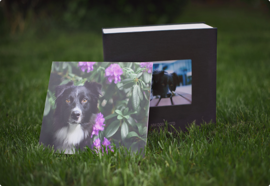 folio box podklejane grube produkty fotograficzne z ozdobnym pudełkiem na trawie