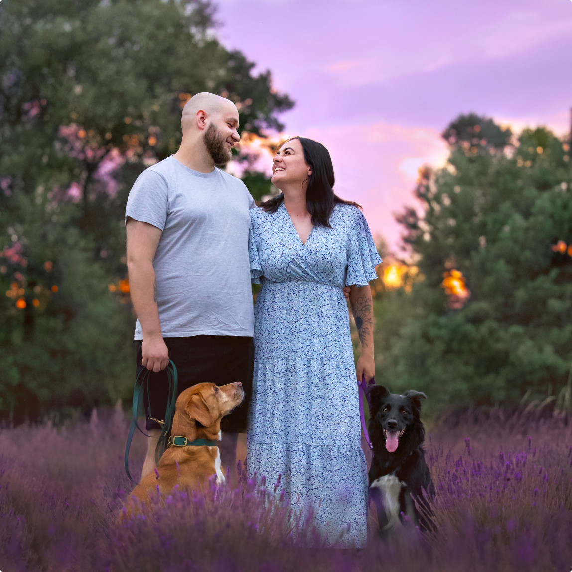 uchwycony moment spojrzenia zakochanej pary z dwoma wpatrzonymi w nich psami kundelkiem i border collie na polu lawendy
